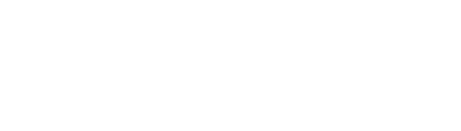 logo for Patriot Angels