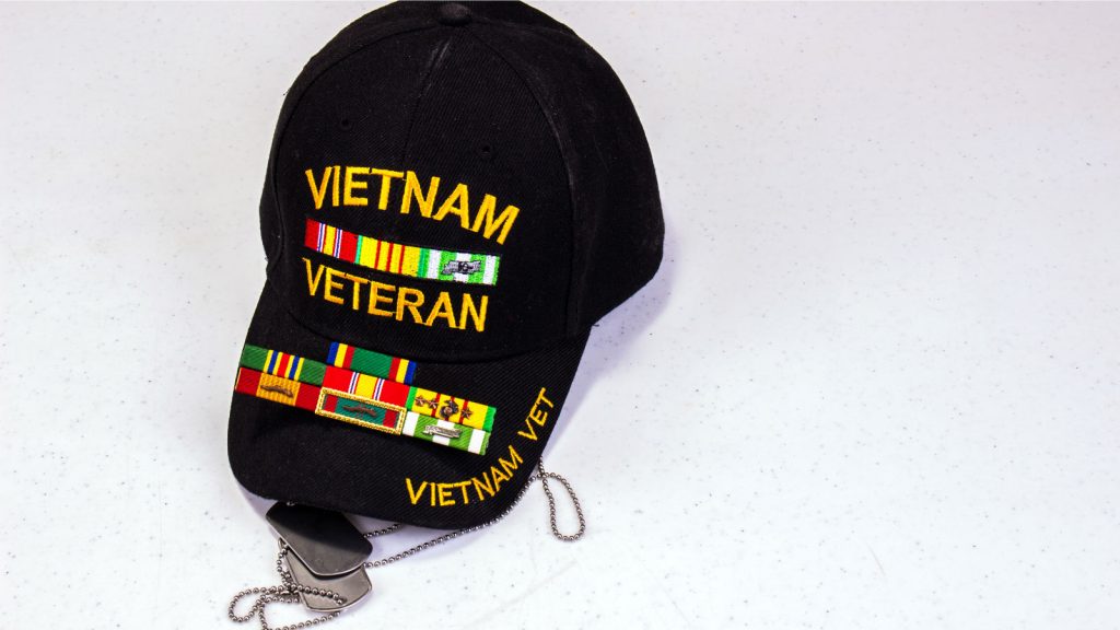 Vietnam Veteran Hat