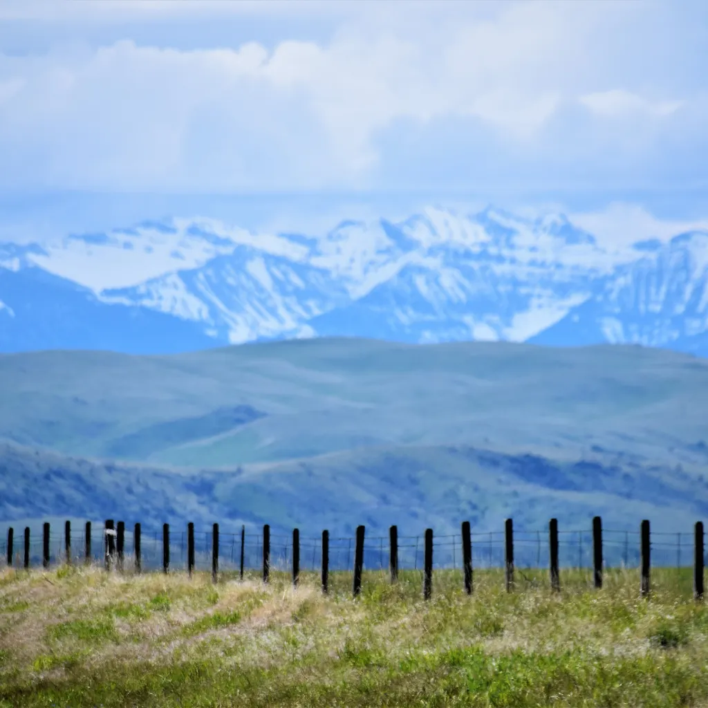Memory care support for veterans in Montana