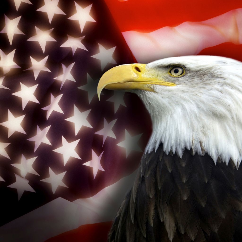 Bald eagle and American flag representing assisted living benefits for New York veterans